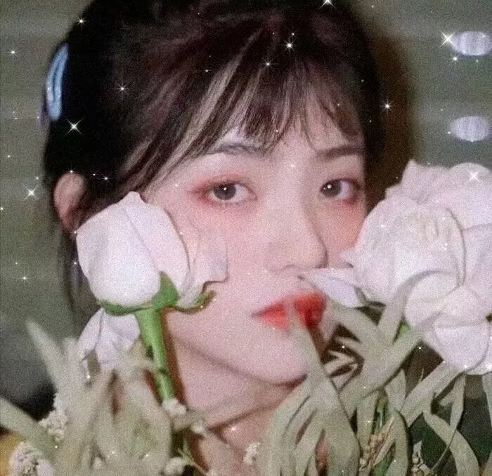 我心飞扬